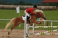 Rhoda a Vladim�r �oupal byli druz� v parkurov� ��sti. Pro zv�t�en� klikn�te