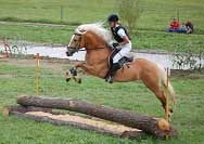 Arminovi byla bohu�el osudn� p��li� velk� rychlost v ter�nn� j�zd�. Pro zv�t�en� klikn�te