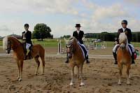 Drezurn� ��st vyhr�l plemenn� h�ebec Armin s Evou �ivn��kovou, druh� m�sto brala Lucie �erm�kov� a valach Hany, t�et� byl Ji�� Ka�p�rek s Cabinou. Pro zv�t�en� klikn�te