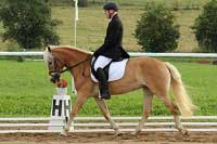 Unadonna s Rudolfem Kostou v drezurn� �loze. Pro zv�t�en� klikn�te