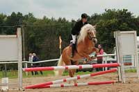 Osmdes�ticentimetrov� skoky nebyly pro Armina a mnoho dal��ch ��astn�k� probl�m. Pro zv�t�en� klikn�te