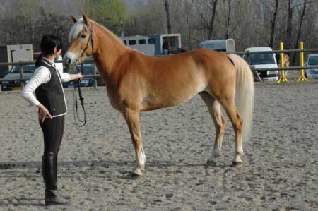 4. místo