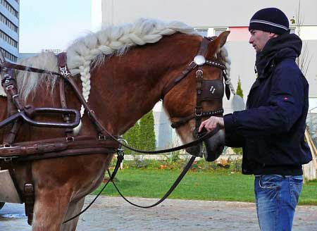 Hebec Mozart